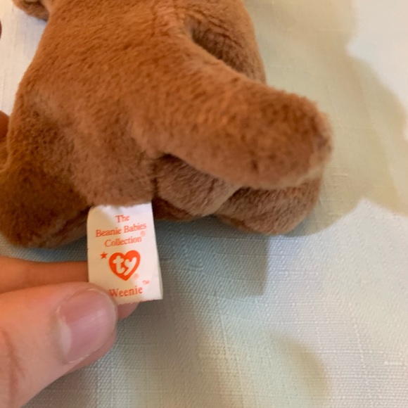 RARE! WEENIE THE DOG BEANIE BABIES - Picture 6 of 8